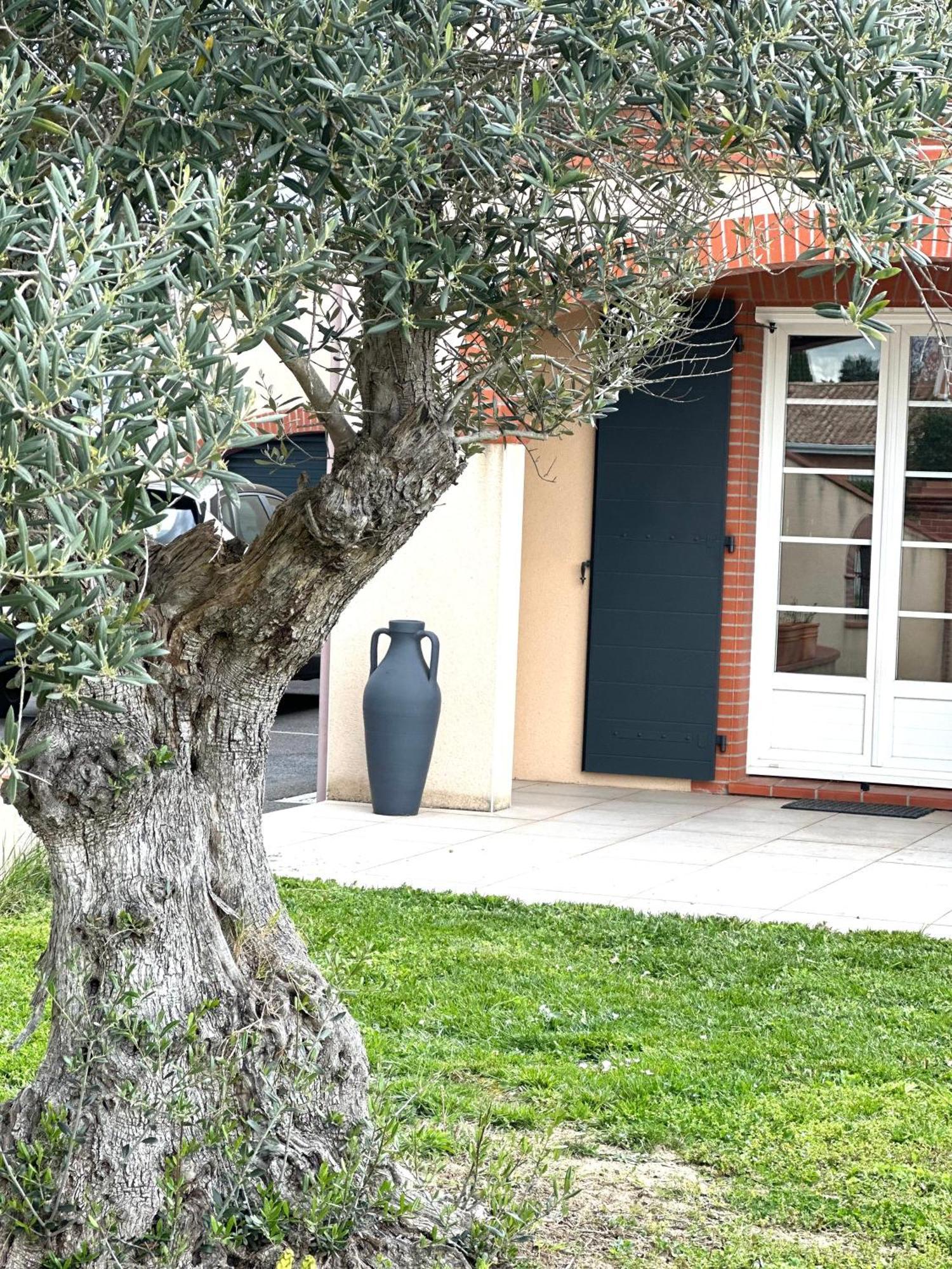 Maison D'Hotes Chic A Beauzelle Dış mekan fotoğraf